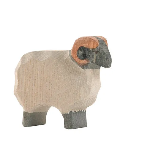Ostheimer Moreland Ram