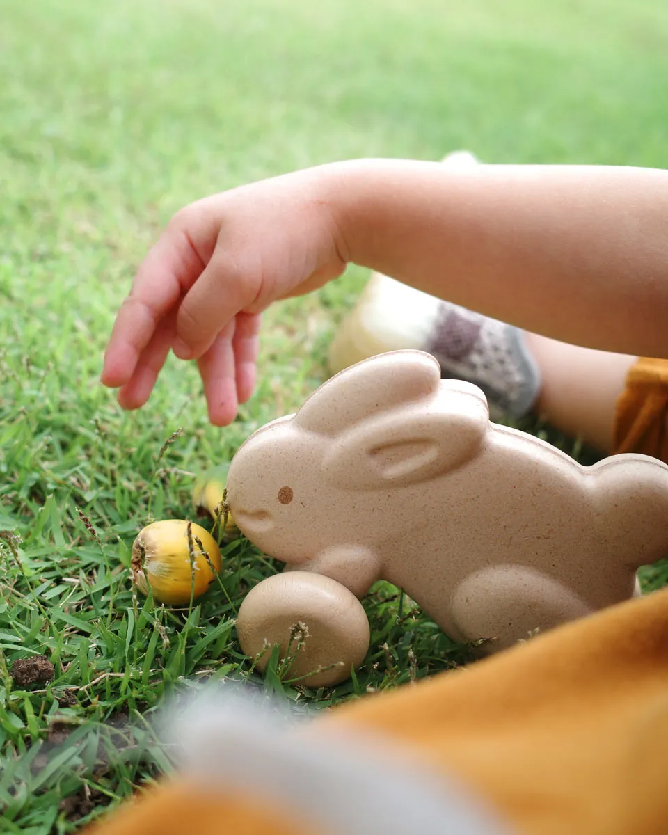 Plan Toys Push Along Bunny - Grey