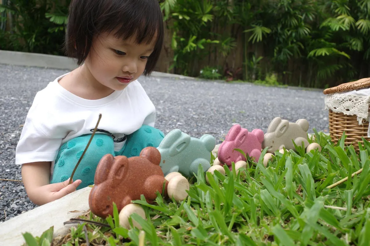 Plan Toys Push Along Bunny - Grey