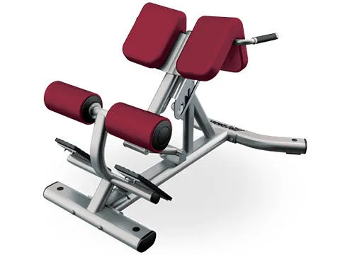 Refurbished Life Fitness Signature Back Hyperextension