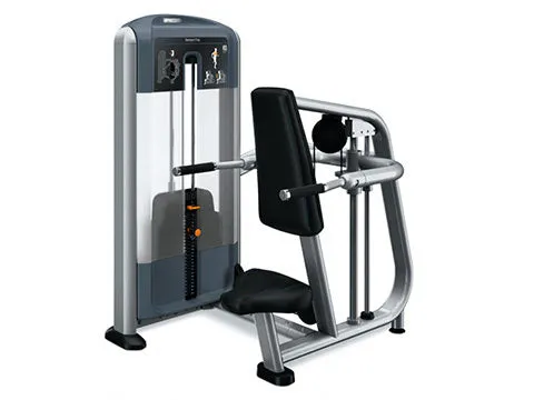 Refurbished Precor Discovery Series Seated Dip