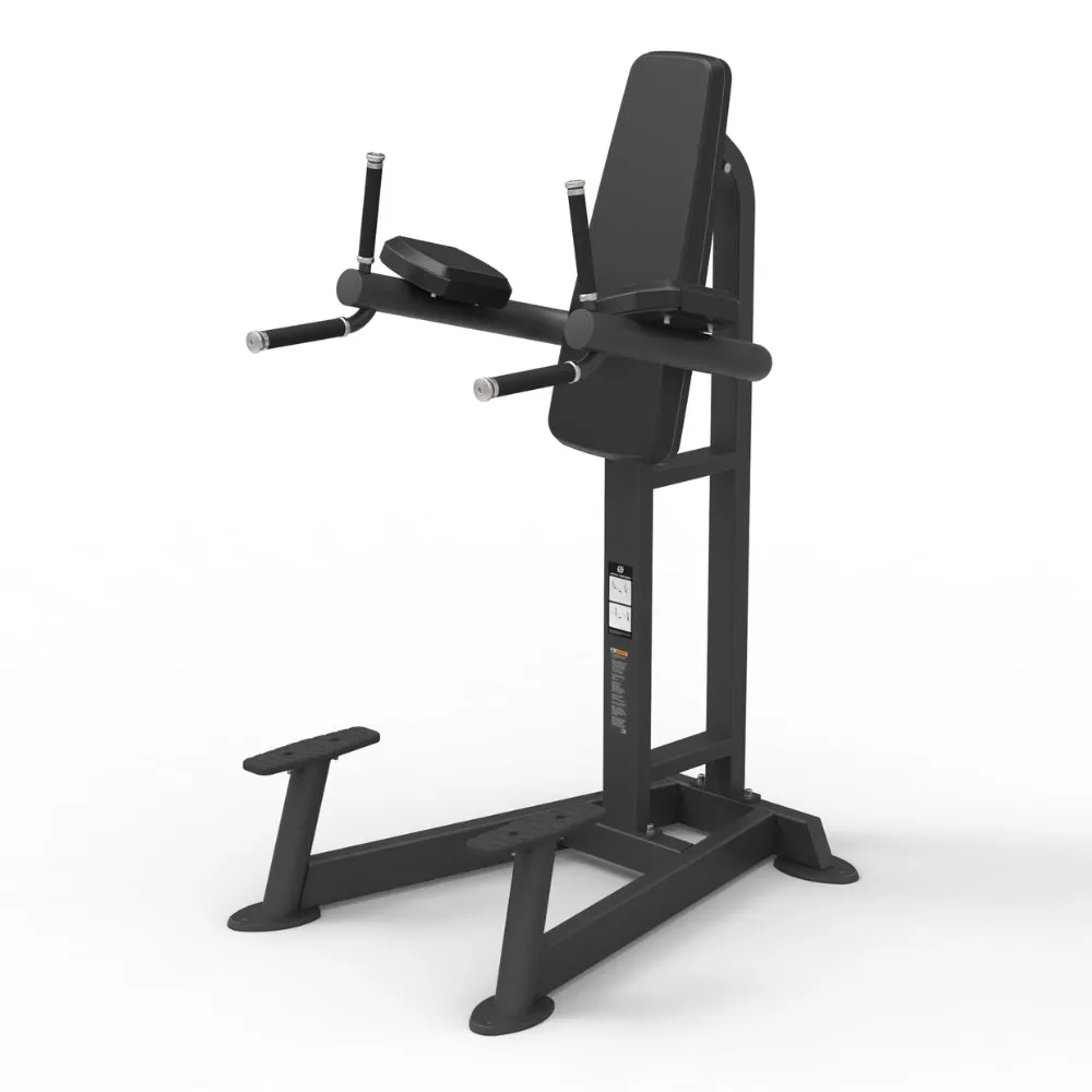 Spirit SP4215 Leg Raise / Dip