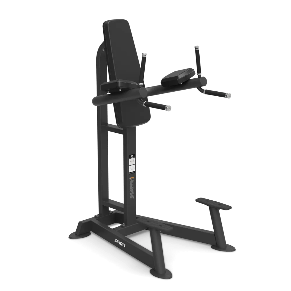 Spirit SP4215 Leg Raise / Dip