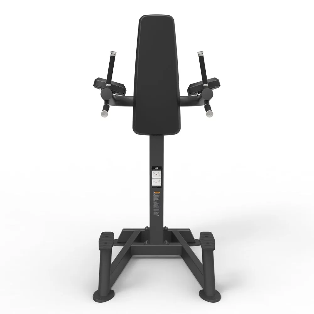 Spirit SP4215 Leg Raise / Dip
