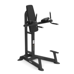 Spirit SP4215 Leg Raise / Dip