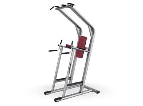 Used Life Fitness Signature Chin Dip Leg Raise