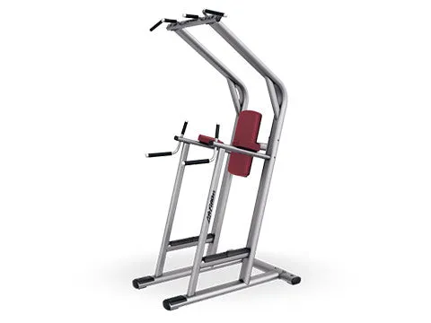 Used Life Fitness Signature Chin Dip Leg Raise