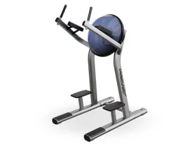 Used Life Fitness Signature Leg Raise VKR with Bosu Ball