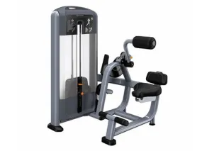 Used Precor Discovery Series Back Extension