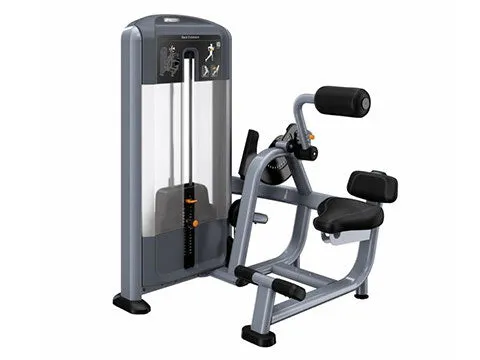 Used Precor Discovery Series Back Extension