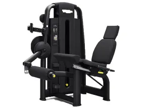Used Technogym Selection Leg Extension