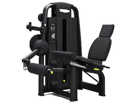 Used Technogym Selection Leg Extension